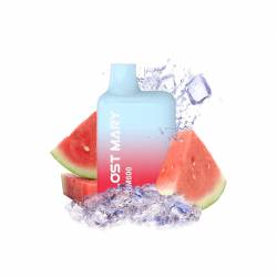 WATERMELON ICE POD USA E GETTA ELFBAR LOST MARY BM600 - Pod usa e getta