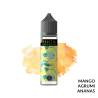 PINEAPPLE CITRUS TWIST PREMIX FRUITIA - Mix 'n vape