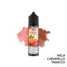 APPLE TAB PREMIX TABACCO DYPRINTECH - Mix 'n vape