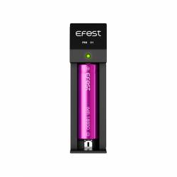 PRO C1 CARICABATTERIE EFEST - CHARGER
