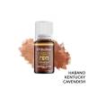 MEDIUM AROMA TOBACCO EXTRACT CYBER FLAVOUR - Tabaccosi