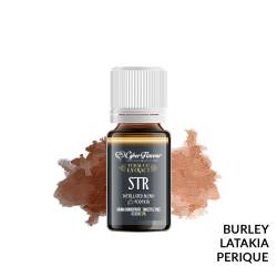 STRONG AROMA TOBACCO EXTRACT CYBER FLAVOUR - Tabaccosi
