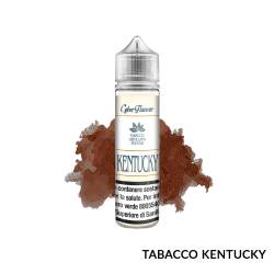 KENTUCKY PREMIX DISTILLATO CYBER FLAVOUR - Mix 'n vape