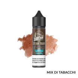 TRAIN TO HEAVEN PREMIX STEAM TRAIN - Mix 'n vape