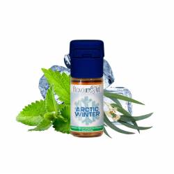ARCTIC WINTER LIQUIDO FLAVOURART 10 ML - 10 mL