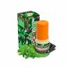 MINT & LICORICE LIQUIDO VAPORART 10 ML - 10 mL
